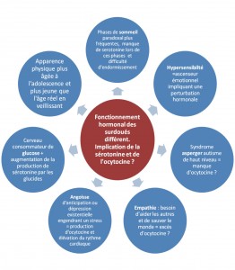 fonctionnement hormonal